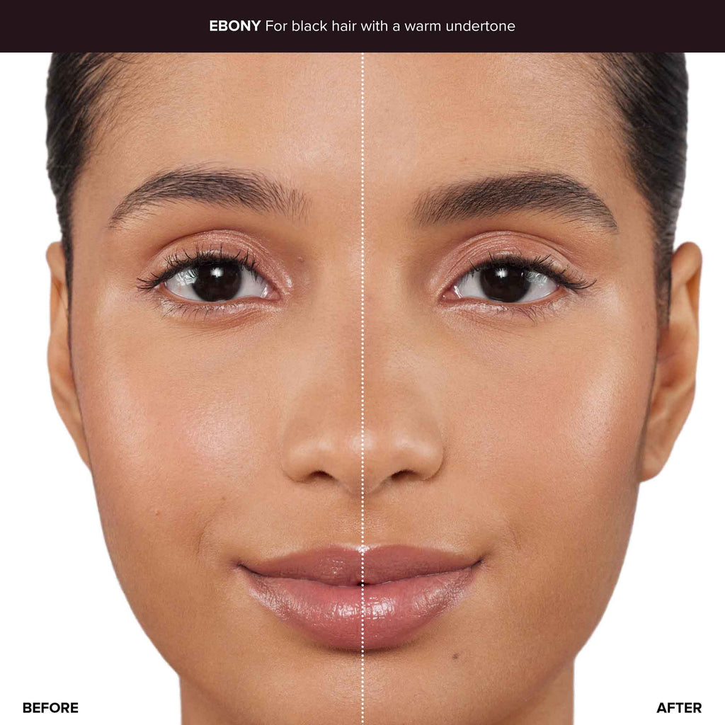 Anastasia Beverly Hills Sculpted & Defined Brow Kit